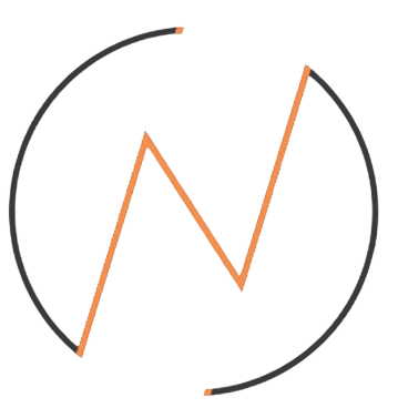 NS Electrical Engineering Works logo